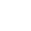 Cricket Batsman