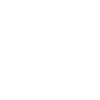 Jellyfish Animal