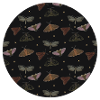 Moth
