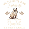 Chat doux Ragdoll
