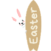 Surf Osterhase