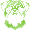 Pug, Dog Head, Drawing Green