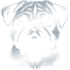 Pug, dog head, drawing silver