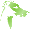 levriero levriero, testa di cane, disegno verde