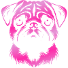 Pug, dog head, drawing pink