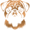 Pug, Dog Head, Drawing bronze