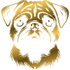 Pug, dog head, drawing gold