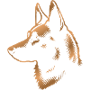 Malinois, Dog's Head, Drawing bronze
