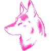 Malinois, Hundekopf, Zeichnung pink