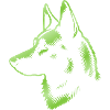 Malinois, Dog Head, Drawing Green