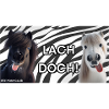 Lachen ist gesund!