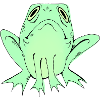 Small frog