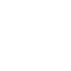 Alter 99