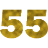Birthday 55 years