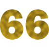 Birthday 66 years