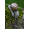Flüstern der Schnecke im Moos