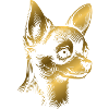 Chihuahua, korthår, hundehoved, tegning af guld