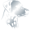 Dalmatian, dog head, drawing silver