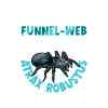 Sydney Funnel Web Spider