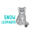 Snow leopard
