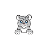 Snow leopard