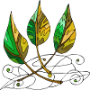 leaves