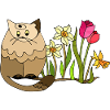 Chat