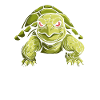 Turtle Angry