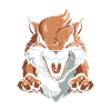 Squirrel Angry