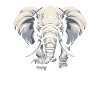 Éléphant