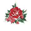 Red Rose Goth