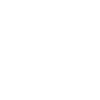 Bear Brown Bear Face