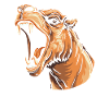 Camel Furious