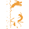 Taekwondo