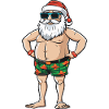 Santa Claus Holiday Santa