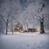 Winterwonderland