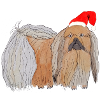 Christmas Pekingese