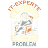 IT Experte