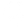 Frettchen mit Sonnenbrille Coole Frettchen