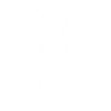 Frettchen mit Sonnenbrille Coole Frettchen