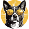 Akita 2
