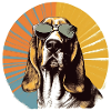 Basset 2