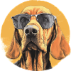 Bloodhound