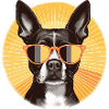 Terrier de Boston 2