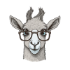 Llama with sunglasses