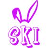 Skiing Ski Bunny Skibunny