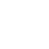 THE REMIX