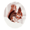 Écureuil
