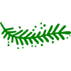 Fir branch