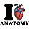 I love anatomy